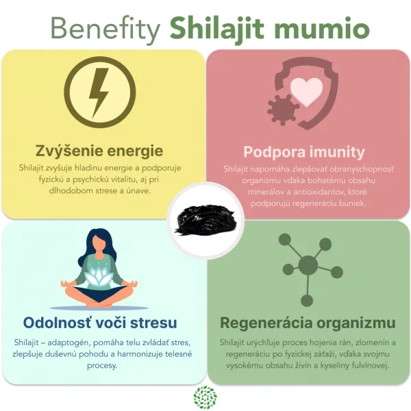 Zvýhodnený set: 2 x Shilajit - očistené mumio premium (500mg) - 80 kapsúl - Herbatica