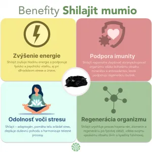 Zvýhodnený set: 2 x Shilajit - očistené mumio premium (500mg) - 80 kapsúl - Herbatica