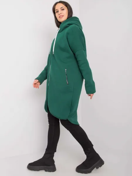 Sweatshirt-RV-BL-5775.17X-dark green
