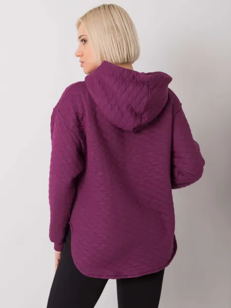 Sweatshirt-RV-BL-7451.23-dark purple