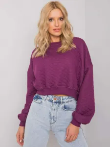 Sweatshirt-RV-BL-7450.64-dark purple