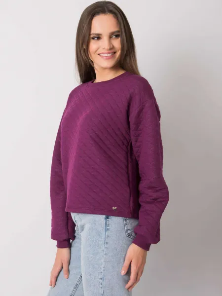 Sweatshirt-RV-BL-7446.99-dark purple
