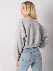 Sweatshirt-RV-BL-7450.64-gray