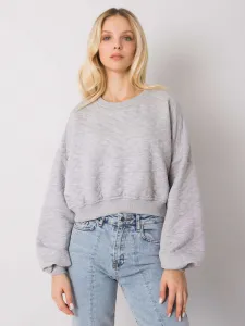 Sweatshirt-RV-BL-7450.64-gray