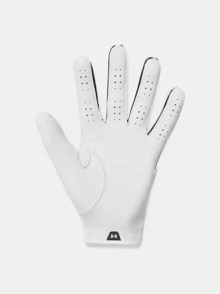 Men's gloves Under Armour Glide Iso-Chill Pro - Men's
