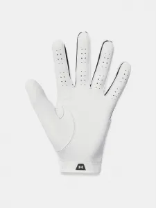Men's gloves Under Armour Glide Iso-Chill Pro - Men's