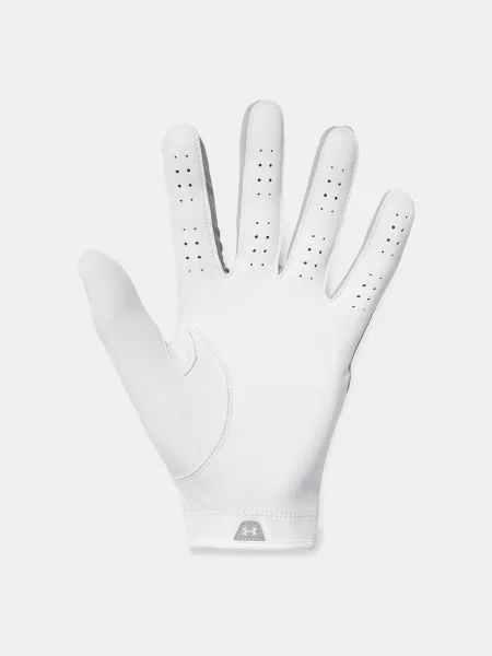 Men's gloves Under Armour Glide Iso-Chill Pro - Men's
