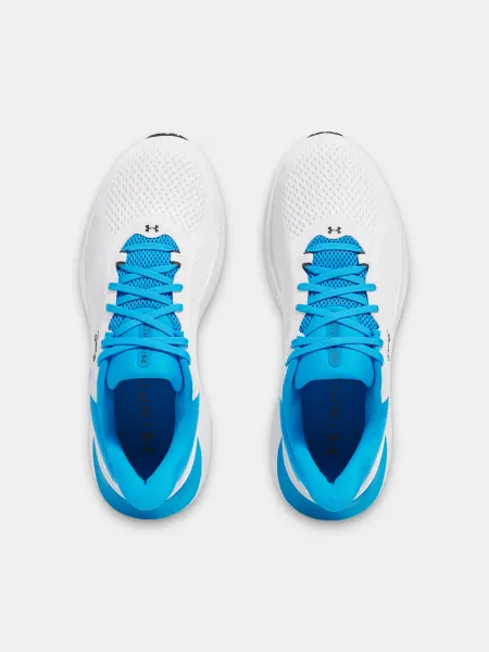Men's shoes Under Armour UA Infinite Pro 2 - Men's