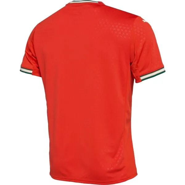 Puma FPF HOME JERSEY REPLICA Pánsky dres, červená, veľkosť