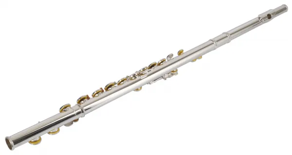 Bacio Instruments BFL-100S