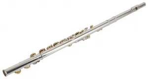 Bacio Instruments BFL-100S