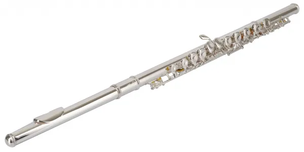Bacio Instruments BFL-100S