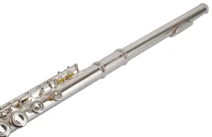 Bacio Instruments BFL-100S