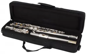 Bacio Instruments BFL-100S