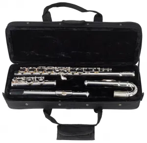 Bacio Instruments BFL-150C