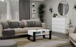 TP Living Konferenčný stolík Lawa MODERN 2P biely/čierny