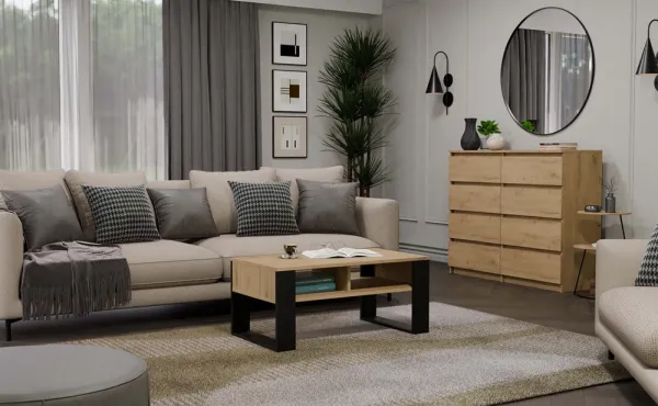 TP Living Konferenční stolek Lawa MODERN 2P dub artisan/černý