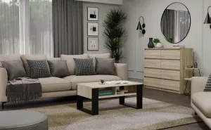 TP Living Konferenčný stolík Lawa MODERN 2P dub sonoma/čierna