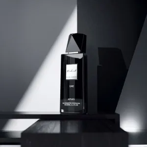 Afnan Modest Une Pour Homme parfumovaná voda pre mužov 100 ml