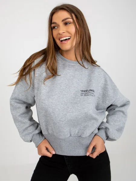 Sweatshirt-EM-BL-ES-21-521-1.93P-grey