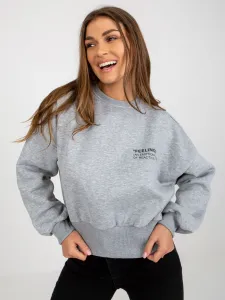 Sweatshirt-EM-BL-ES-21-521-1.93P-grey