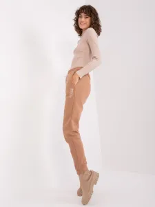 Sweatpants-D10047O62214B3-light brown