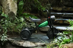 QPLAY Trojkolka Triduro Green, vek 2-6 rokov