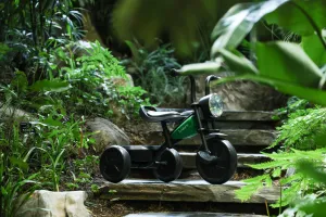 QPLAY Trojkolka Triduro Green, vek 2-6 rokov