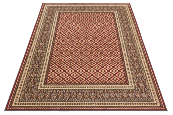 Koberec Agnella Standard Apium Terakota