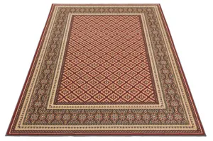 Koberec Agnella Standard Apium Terakota