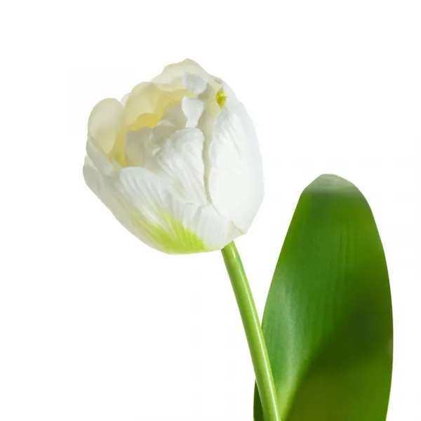 ArtFir Umelý tulipán NATU 475 | biela 37 cm