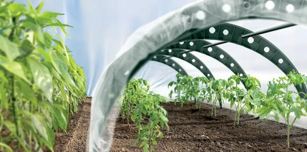 Prosperplast Záhradný fóliový tunel FLEN TUNNS 360 cm zelený
