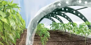 Prosperplast Záhradný fóliový tunel FLEN TUNNS 360 cm zelený