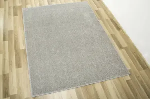Koberec Birch 69 sivý