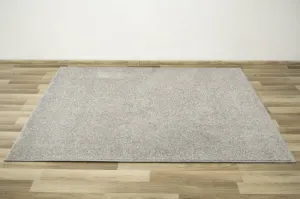 Koberec Birch 69 sivý