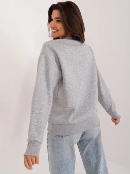 Sweatshirt-D10606BA02565C-grey