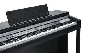 Kurzweil CUP P1 SR