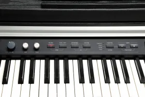 Kurzweil CUP P1 BK