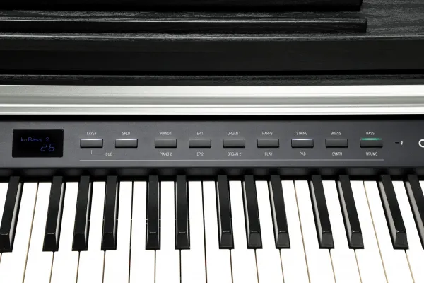 Kurzweil CUP P1 BK