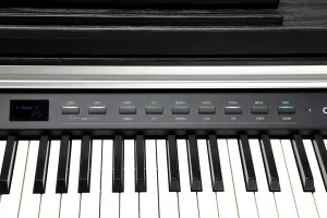 Kurzweil CUP P1 BK