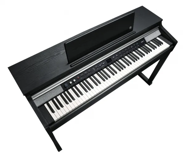 Kurzweil CUP P1 BK