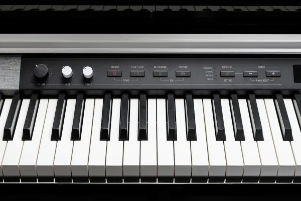 Kurzweil CUP P1 BP