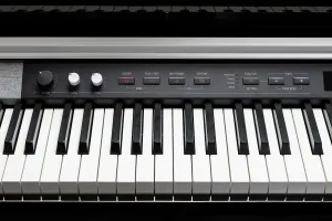 Kurzweil CUP P1 BP