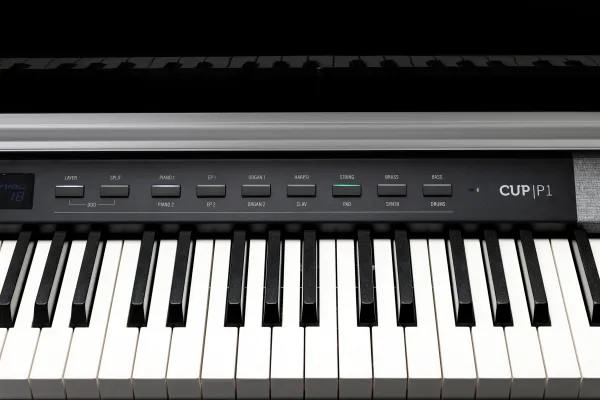 Kurzweil CUP P1 BP