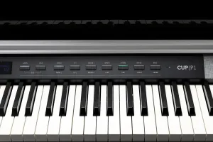 Kurzweil CUP P1 BP