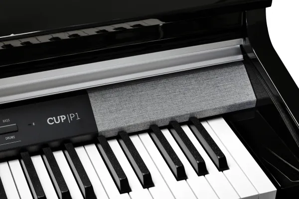 Kurzweil CUP P1 BP