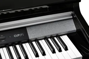 Kurzweil CUP P1 BP