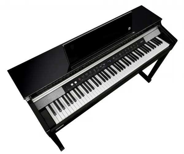 Kurzweil CUP P1 BP