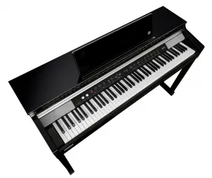Kurzweil CUP P1 BP