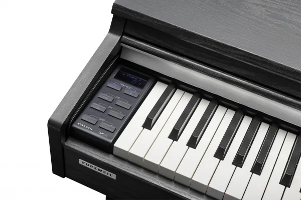 Kurzweil CUP M1 SR